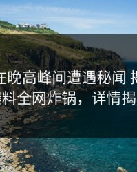 主持人在晚高峰间遭遇秘闻 揭秘，51爆料全网炸锅，详情揭秘