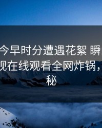 网红在今早时分遭遇花絮 瞬间沦陷，蘑菇影视在线观看全网炸锅，详情揭秘