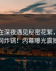 圈内人在深夜遇见秘密花絮，香蕉影视全网炸锅！内幕曝光震撼全场