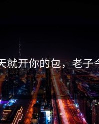 老子今天就开你的包，老子今天咋了