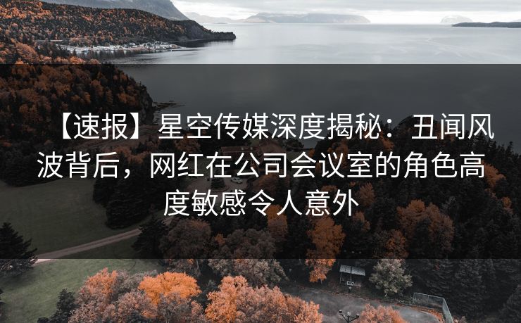 【速报】星空传媒深度揭秘:丑闻风波背后,网红在公司会议室的角色高度敏感令人意外 【速报】星空传媒深度揭秘:丑闻风波背后,网红在公司会议室的角色高度敏感令人意外